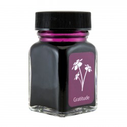 Frasco de Tinta Monteverde® 30ml Gratitude Magenta