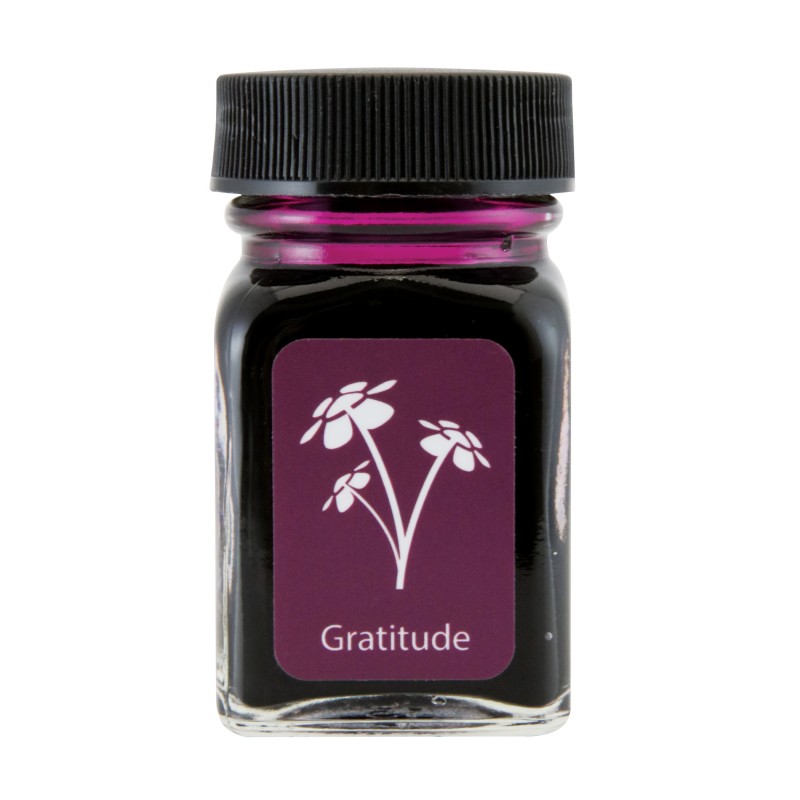 Frasco de Tinta Monteverde® 30ml Gratitude Magenta