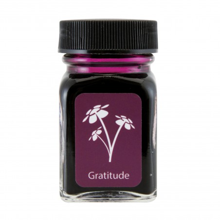Frasco de Tinta Monteverde® 30ml Gratitude Magenta
