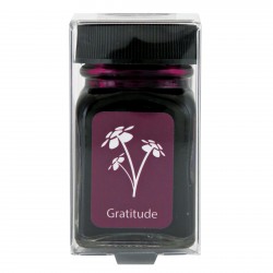 Frasco de Tinta Monteverde® 30ml Gratitude Magenta