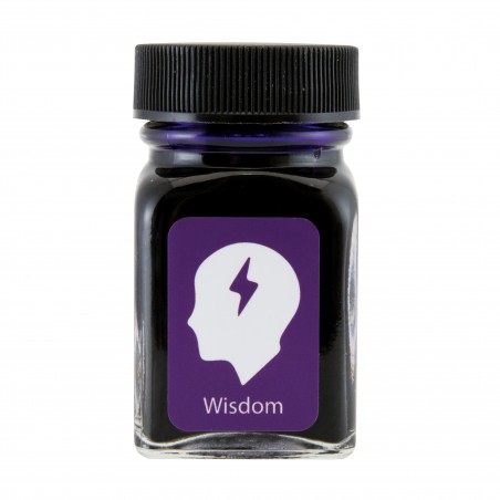 Frasco de Tinta Monteverde® 30ml Wisdom Purple